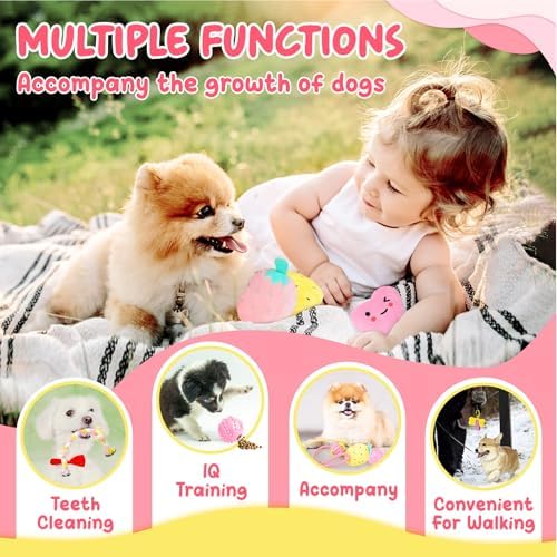 XIUGOAL Pink Puppy Toys for Boredom - 23 Pack Puppy Chew Toys for Teething, Enrichment Dog Toys for Small Dogs with Squeaky Dog Chew Toys, Treat Ball and Ropes