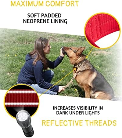 ADITYNA Heavy Duty Red Dog Collar for Medium Dogs with Traffic Handle