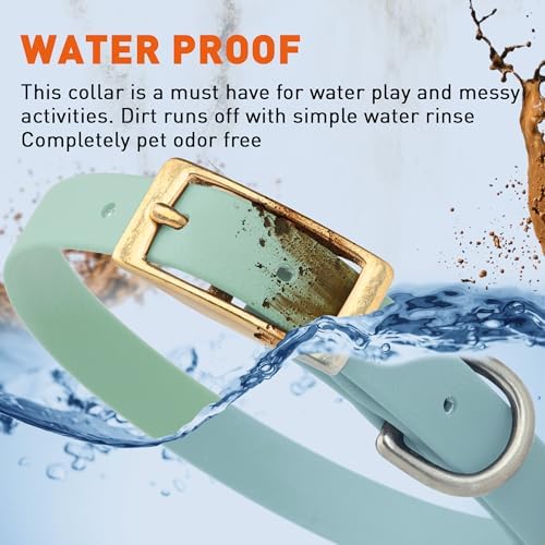 Viper Biothane Heavy Duty Waterproof Dog Collar Strong Coated Nylon Webbing w/Solid Brass Hardware Odor-Proof Easy to Clean High Performance Fits Small Medium or Large Dogs, Sage Green
