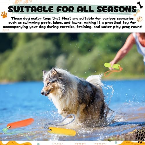 Skylety 4 Pack Floating Dog Toy with Rope Handle