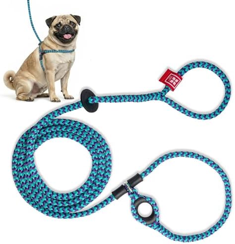Harness Lead No Pull Dog Harness and Leash Set, Anti Pull Dog Harness, One-Piece Cushioned Rope Safely Prevents Escaping and Pulling (Small/Medium, Purple/Turquoise)