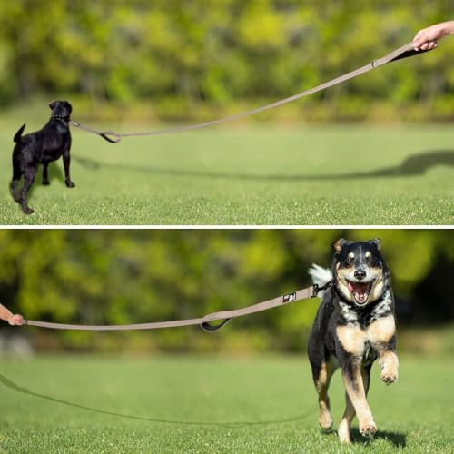 Plutus Pet Double Handle Dog Leash, 6 FT Long, for Medium Large Dogs