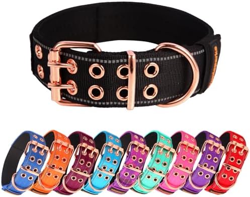Heavy Duty Dog Collar for Medium Large Dogs,Black,Medium