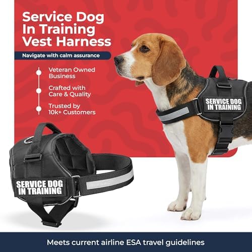 Industrial Puppy Service Dog in Training Vest Harness, Medium 25"-32" Black
