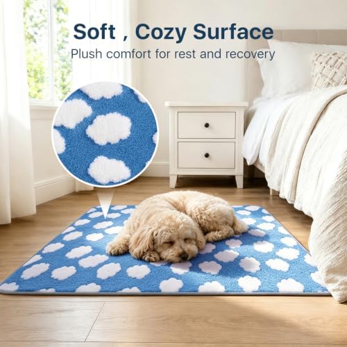 LOOBANI 2 Pack Extra Large Washable Pee Pads for Dogs 72"x72", Blue