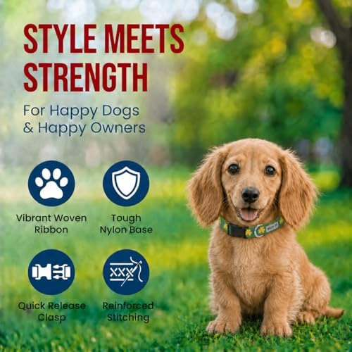 THE WORTHY DOG Summer Print, Adjustable Dog Collar, Small Dogs, Good Luck