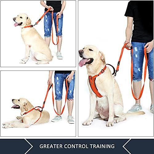 Plutus Pet Double Handle Dog Leash, 6 FT Long, for Medium Large Dogs