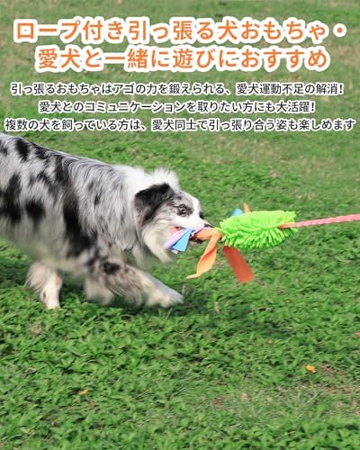 SCHITEC Dog Tug Toy, [2 Pack] Interactive Play Training Bungee Rope, Squeaky Tug of War Exercise Pull Toys for Puppy Small Medium Large Dogs