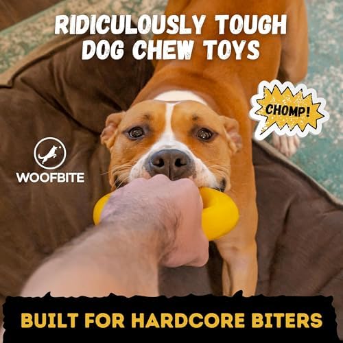 Indestructible Dog Chew Toy - Lifetime Replacement - Durable Toy for Aggressive Chewers - Safe Non-Toxic Natural Rubber - Chew, Tug & Fetch - Tough, Heavy Duty - Med/Large Breed, 6.5”x1.25”