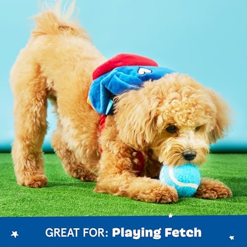 BarkBox Janspup Backpack 3-in-1 Interactive Plush Dog Toy