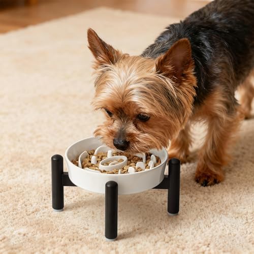 Elevated Slow Feeder Dog Bowl, 0.8 Cups Ceramic Raised Slow Feeder with Stainless Stand, 6.3 Inch Wide Lifted Dog Bowl for Small Breeds to Control Eating Speed, White