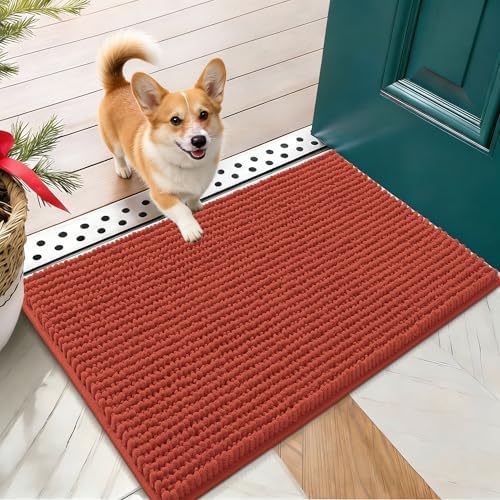 OLANLY Dog Door Mat for Muddy Paws 24x16, Extra Absorbent Chenille Mud Mat