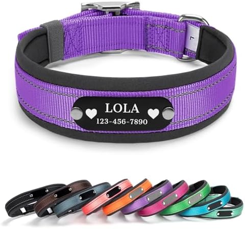Personalized Reflective Dog Collar with Name, Purple: S