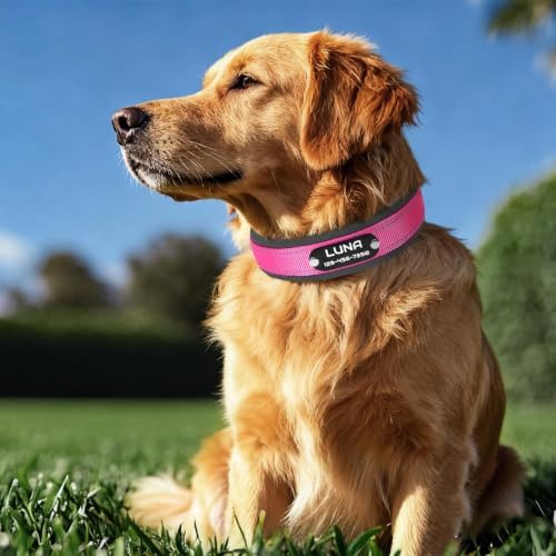 Personalized Reflective Dog Collar with Name (Rose, XL (22-26 Inches))