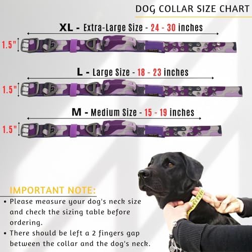 ADITYNA Heavy Duty Dog Collar for Extra-Large Dogs with Traffic Handle
