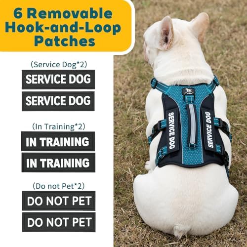Huntboo Service Dog Vest Harness, Escape Proof Harness with 6 Patches, No-Pull, Reflective Harness with Handle, Adjustable for Small to Large Dogs, for Training and Hiking (Teal, M)