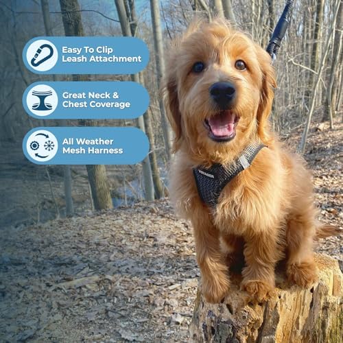 Voyager Step-in Air Dog Vest Harness - Gray 2-Tone, Small
