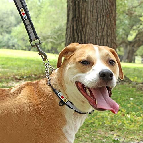 Pawtitas Martingale Dog Collar with Chain a Reflective Dog Training Collar for Large Dogs | Nylon No Pull Dog Collar for Large Dog - Orange
