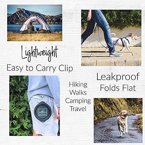 Lucky Love Dog Travel Bowl, Collapsible Compact Water Dog Dish (Grass)