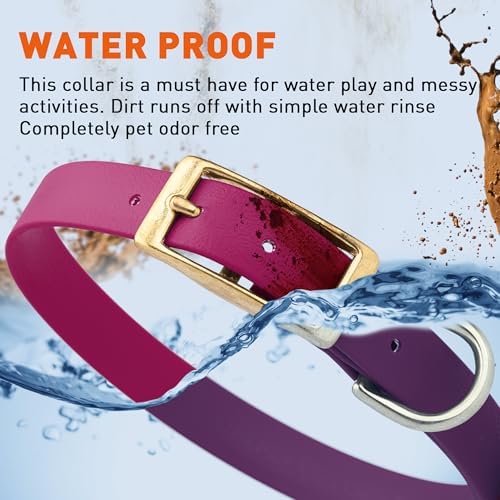 Viper Biothane Heavy Duty Waterproof Dog Collar Strong Coated Nylon Webbing w/Solid Brass Hardware Odor-Proof Easy to Clean High Performance Fits Small Medium or Large Dogs, Magenta Pink
