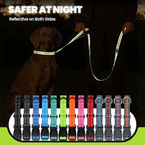 VIVAGLORY Double Handle Dog Leash Twingrip, 5ft x 1in, M2, Neon Yellow