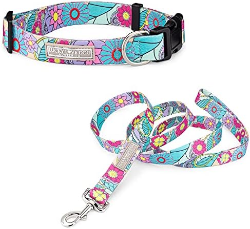 Lucky Love Dog Collar and Leash Set for Medium Dogs Cute – Caroline, Medium