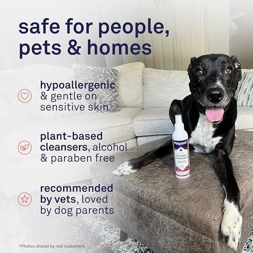 Petpost | Pet Odor Eliminator Spray for Dogs & Cats - Naturally Effective Deodorant and Bad Smell Killer - For Spraying Your Pet or Around the Home 8 oz.