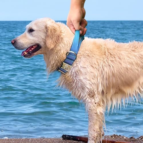 Thick Tactical Dog Collar with Handle for Medium Dogs - Heavy Duty(Blue)