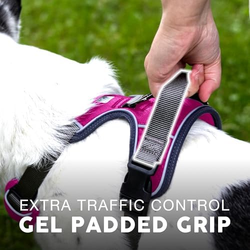 Embark No Pull Dog Harness, Reflective Adjustable Training Vest, No Choke