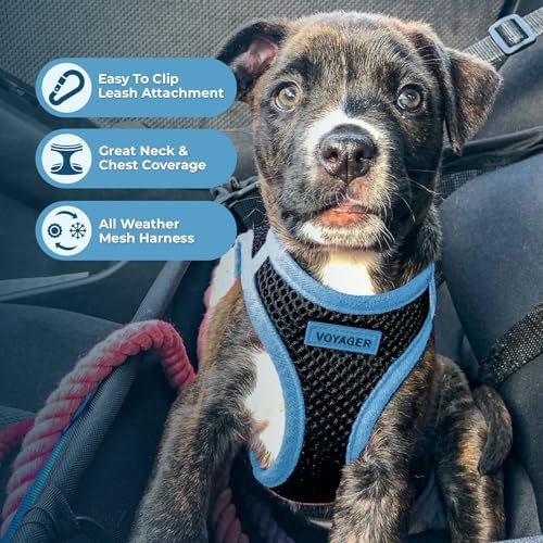 Voyager Step-in Air Dog Vest Harness - Black/Blue Trim, X-Small
