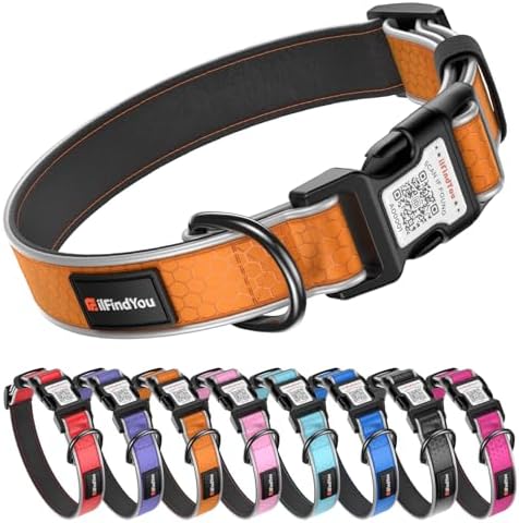 Personalized Dog Collar with QR Code Dog Tag, Oxford Orange S