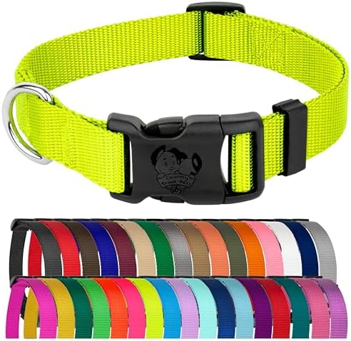 Country Brook Petz - Everyday Nylon Dog Collar for Large, Medium, and Small Dogs and Puppies - for Everyday Use in 30+ Colors (2XS, 3/8 Inch Wide, Hot Yellow)