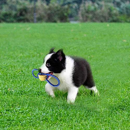 Dog Toys for Puppy Playtime, Teeth Cleaning, Teething - Squeak Chew Toys for Small Dogs, Chihuahua - 6pcs (Shark)