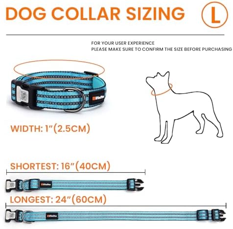 Personalized Dog Collar with QR Code Dog Tag, Light Blue L
