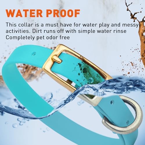 Viper Biothane Heavy Duty Waterproof Dog Collar Strong Coated Nylon Webbing w/Solid Brass Hardware Odor-Proof Easy to Clean High Performance Fits Small Medium or Large Dogs, Sky Blue