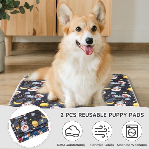 Paw Legend Washable Reusable Dog Pee Pads Super Absorbent (2 Pack) - Washable Reusable Puppy Training Pads | Quality Travel Pee Pads for Dogs | Absorbent and Odor Controlling
