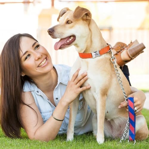 Silent Dog Collar Personalized with Name Phone Number Laser Engraved