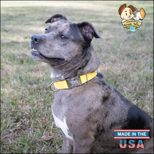 Country Brook Petz - Premium Nylon Dog Collar with Metal Buckle for Small Medium Large Breeds - 30+ Colors (Small, 3/4 Inch, Yellow)
