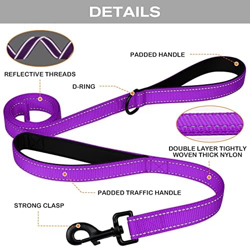 Joytale Dog Leash for Large Dogs that Pull, Double Handle, 4FT, Purple
