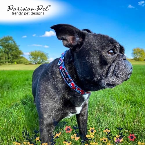 Parisian Pet Floral Dog Leash - Nylon Heavy Duty Training Blue Leashes for Dogs with Comfortable Handle - Strong Metal Clip 4Ft Hibiscus Puppy Leash - Chew Proof Leashes for Small and Medium Dogs
