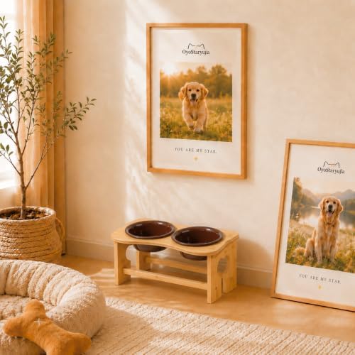 Bone Elevated 7.1" Ceramic Small Dog Bowls, Raised Dog Bowl Stand