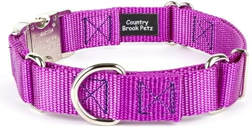 Country Brook Petz - Martingale Dog Collar - Heavy Duty Nylon Adjustable Martingale Dog Collar with Metal Buckle for Small Medium Large Breeds - 30+ Color Options (1 Inch, Large, Bright Purple)