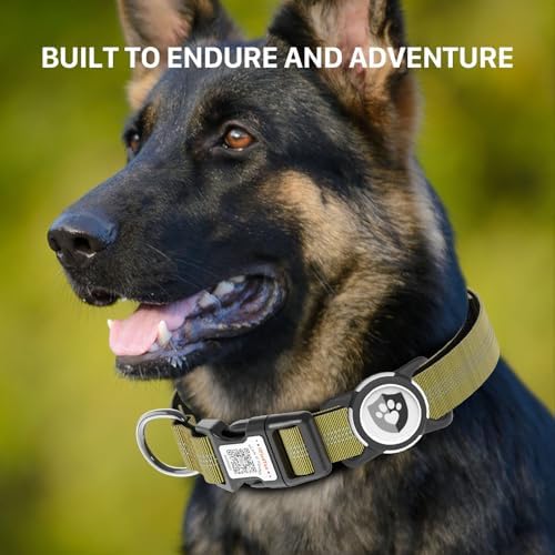 Waterproof AirTag Dog Collar with QR Code Dog Tag, Champagne S