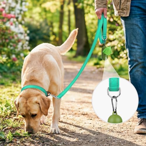 Joytale Reflective Dog Leash for Medium & Large Dogs, 4 FT x 1", Turquoise