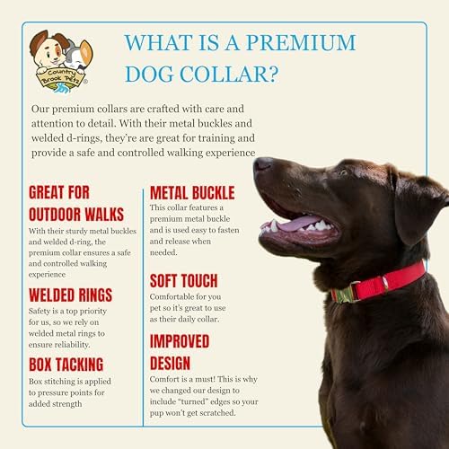 Country Brook Petz - Premium Nylon Dog Collar with Metal Buckle for Small Medium Large Breeds - 30+ Colors (Small, 3/4 Inch, Bright Red)