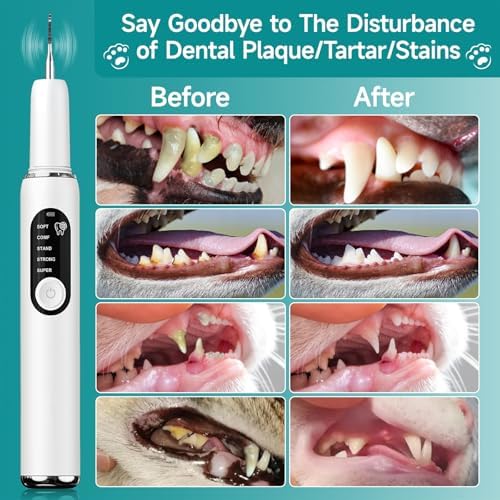 Dog Teeth Cleaning Kit Dog Plaque and Tartar Remover with LED Light 5 Adjustable Modes Electric Toothbrush Pet Teeth Cleaner for Dogs and Cats (White)