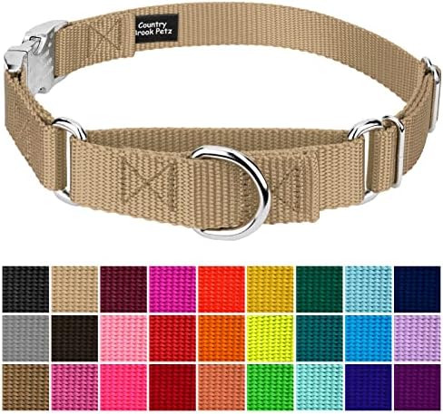 Country Brook Petz - Martingale Dog Collar - Heavy Duty Nylon Adjustable Martingale Dog Collar with Metal Buckle for Small Medium Large Breeds - 30+ Color Options (5/8 Inch, Extra Small, Copper Gold)