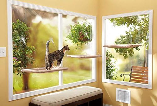 Oster Sunny Seat Window-Mounted Cat Bed, 50 Pounds