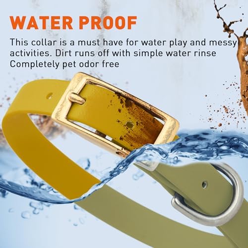Viper Biothane Heavy Duty Waterproof Dog Collar Strong Coated Nylon Webbing w/Solid Brass Hardware Odor-Proof Easy to Clean High Performance Fits Small Medium or Large Dogs, Treasure Gold