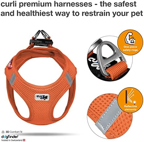 Curli Vest Harness Air-Mesh Skyblue S